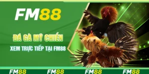 Đá Gà Mỹ Chiến - Xem Trực Tiếp Tại Nền Tảng Cá Cược FM88