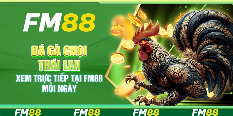 Đá Gà Chọi Thái Lan, Xem Trực Tiếp Tại FM88 Mỗi Ngày