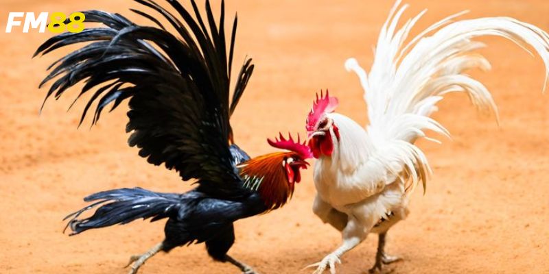 Phân tích chiến kê và các yếu tố ảnh hưởng
