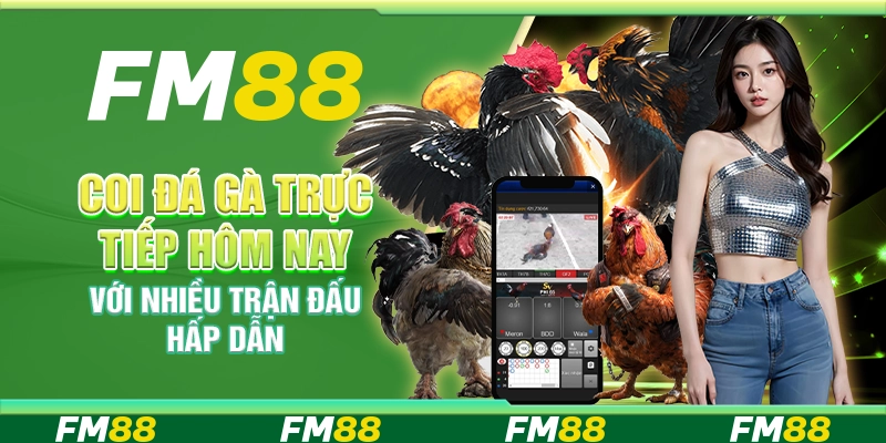 Coi đá gà trực tiếp hôm nay với nhiều trận đấu hấp dẫn