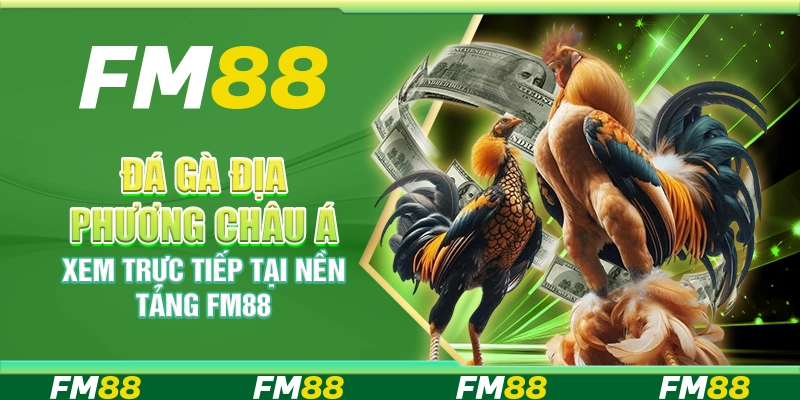 Đá Gà Địa Phương Châu Á, Xem Trực Tiếp Tại Nền Tảng FM88