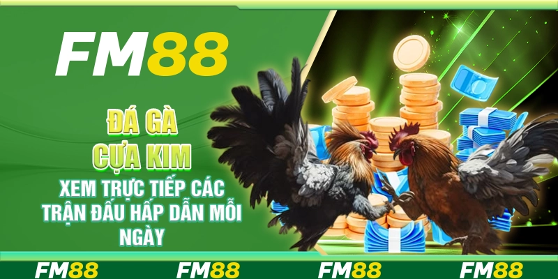 Đá Gà Cựa Kim, Xem Trực Tiếp Các Trận Đấu Hấp Dẫn Mỗi Ngày