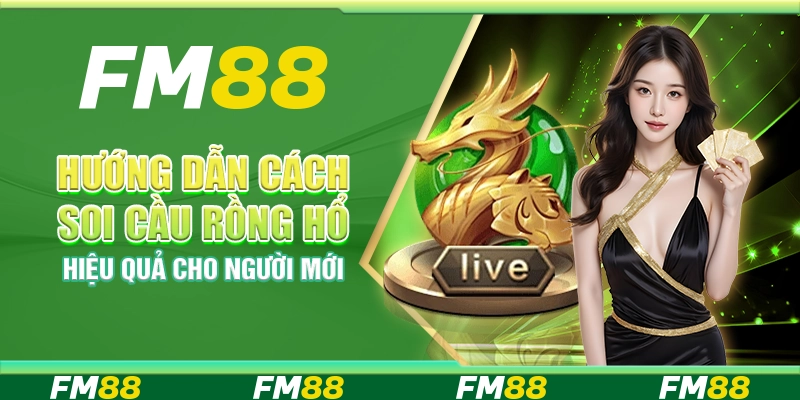 Hướng dẫn cách soi cầu Rồng Hổ hiệu quả cho người mới