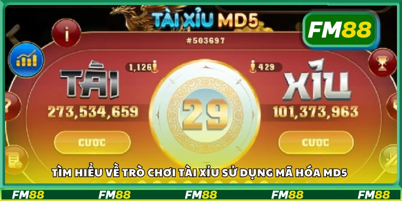 Giới thiệu về tài xỉu MD5