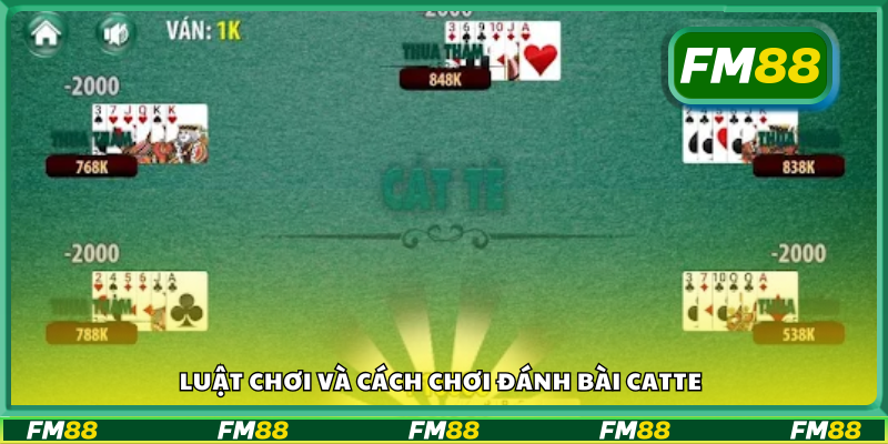 Tìm hiểu luật chơi và cách chơi đánh bài catte