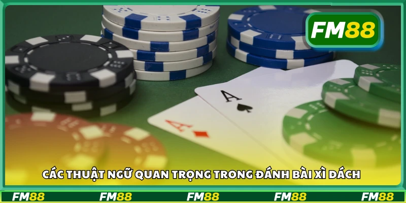 Thuật ngữ thường gặp khi đánh bài xì dách online