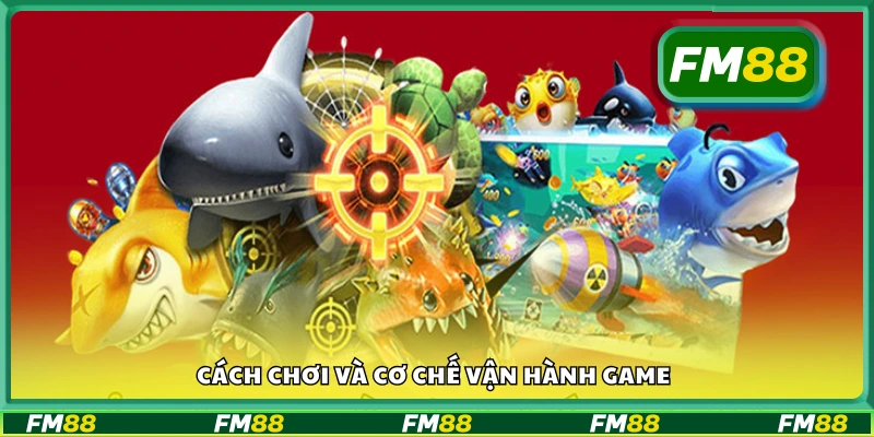 Hướng dẫn chi tiết cách chơi và luật hoạt động của game