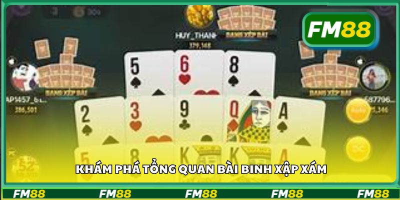 Khám phá tổng quan bài binh xập xám