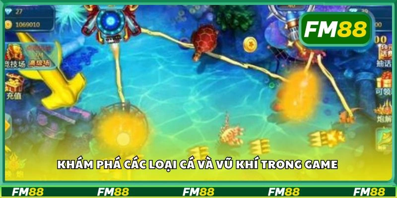 Khám phá các loại cá và vũ khí trong game