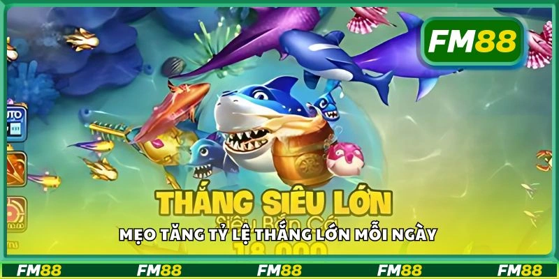 Mẹo tăng tỷ lệ thắng lớn mỗi ngày