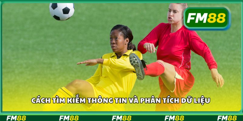 Cách tìm kiếm thông tin và phân tích dữ liệu