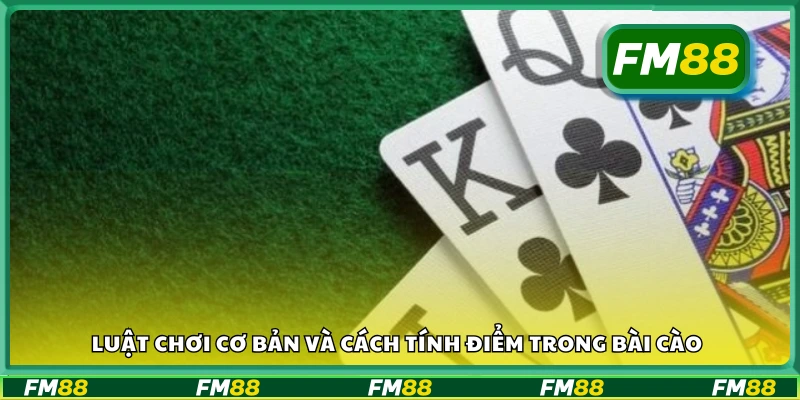 Tìm hiểu luật bài cào và phương pháp tính điểm chuẩn xác