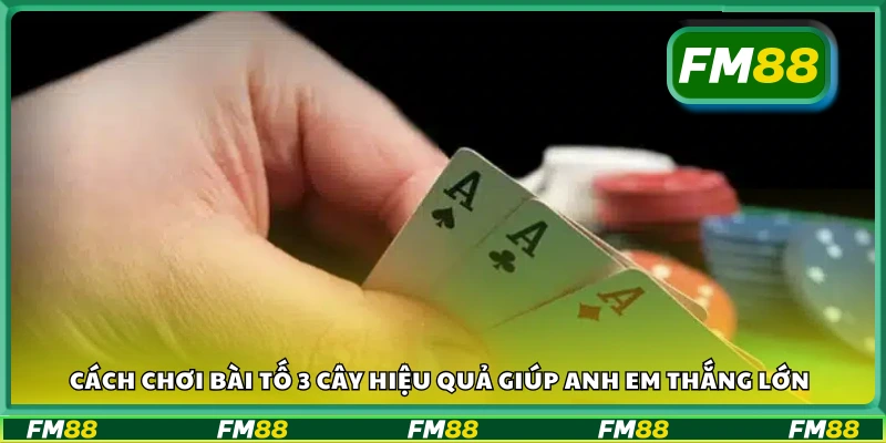 Cách chơi bài tố 3 cây hiệu quả giúp anh em thắng lớn