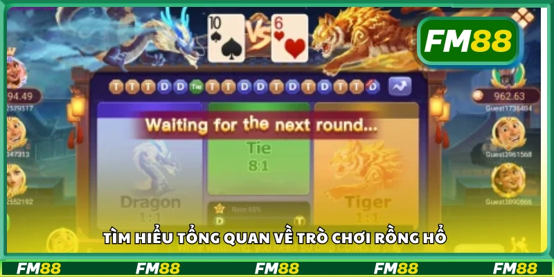 Tổng quan về trò chơi Rồng Hổ