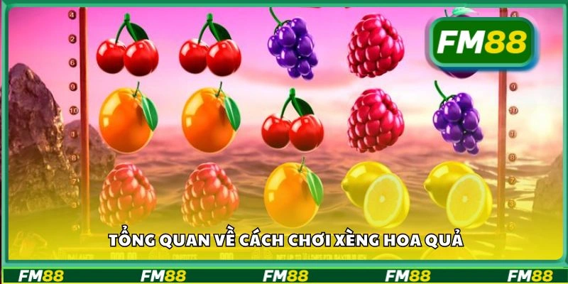 Tổng quan về cách chơi xèng hoa quả