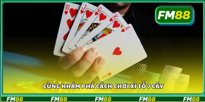 Cùng khám phá cách chơi xì tố 7 cây