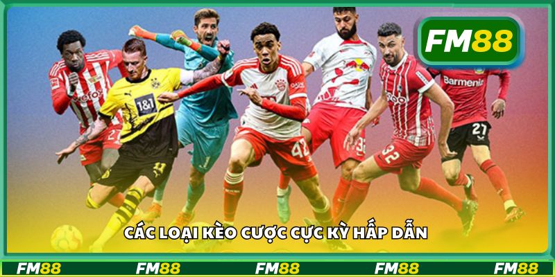 Các loại kèo cược cực kỳ hấp dẫn