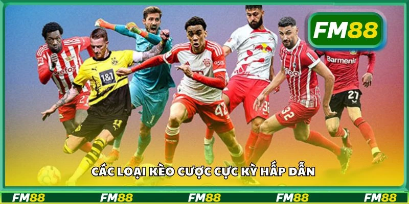 Các loại kèo cược cực kỳ hấp dẫn