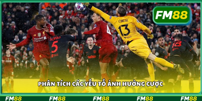 Phân tích các yếu tố ảnh hưởng cược