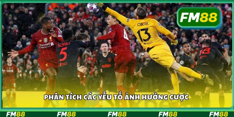 Phân tích các yếu tố ảnh hưởng cược