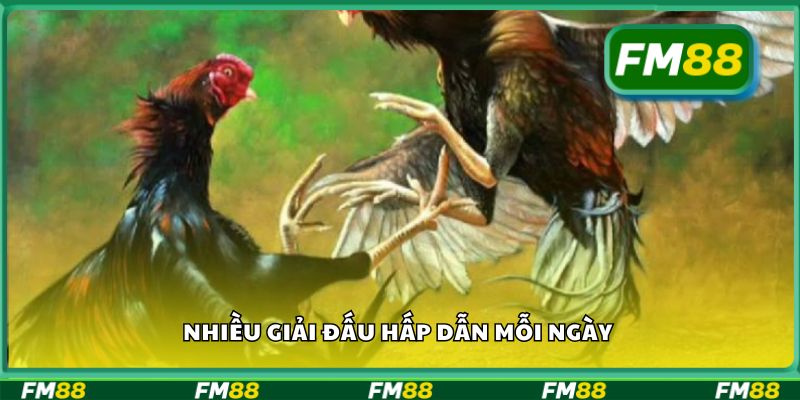 Nhiều giải đấu hấp dẫn mỗi ngày