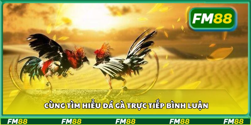 Cùng tìm hiểu đá gà trực tiếp bình luận
