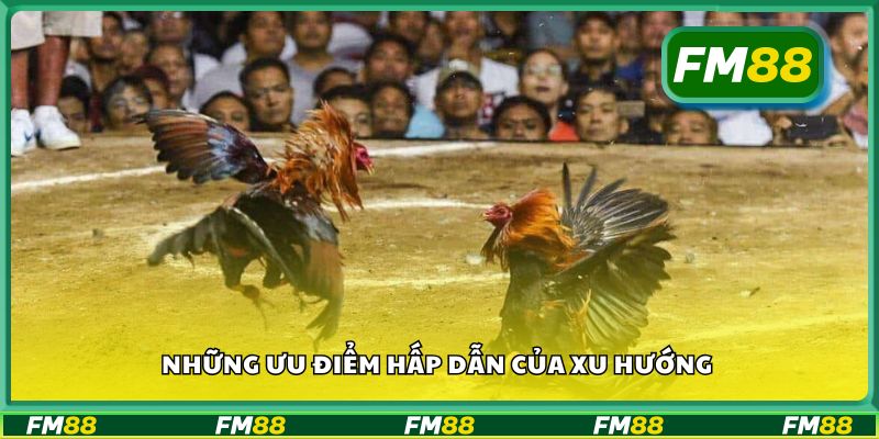 Những ưu điểm hấp dẫn của xu hướng