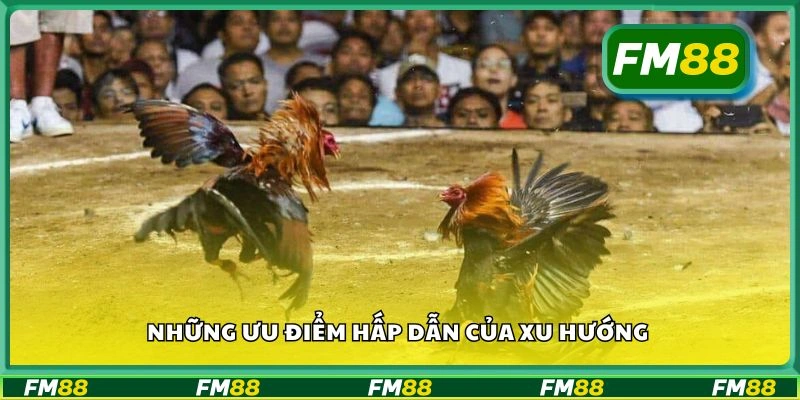 Những ưu điểm hấp dẫn của xu hướng