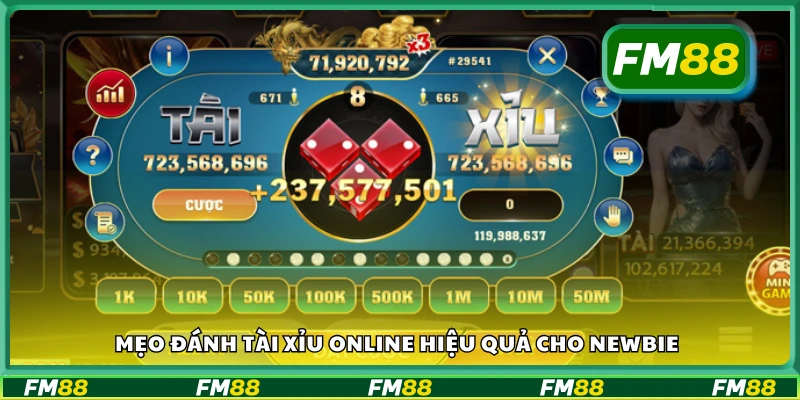Mẹo đánh tài xỉu online hiệu quả cho newbie