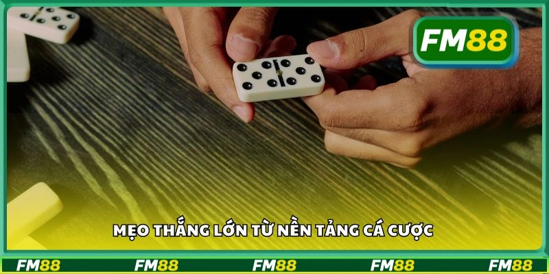 Mẹo thắng lớn từ nền tảng cá cược