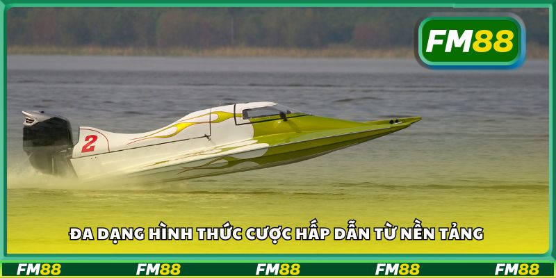 Đa dạng hình thức cược hấp dẫn từ nền tảng