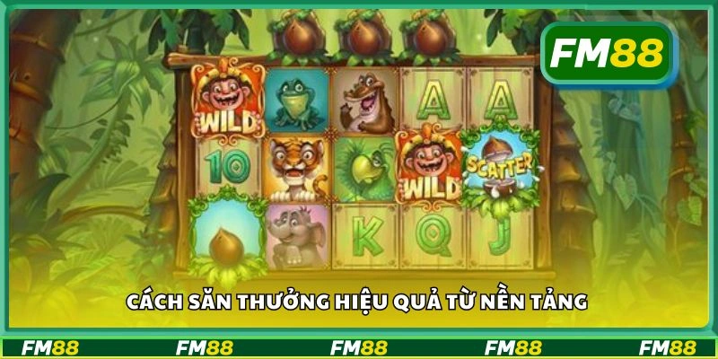 Cách săn thưởng hiệu quả từ nền tảng