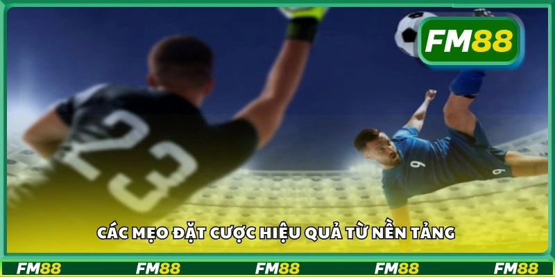 Các mẹo đặt cược hiệu quả từ nền tảng