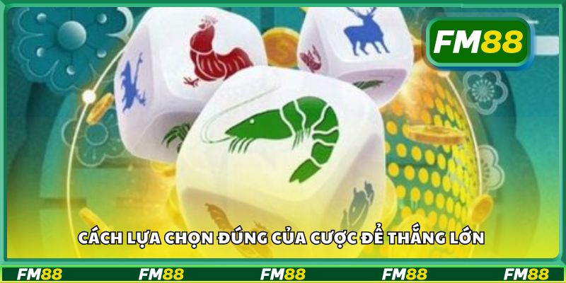 Cách lựa chọn đúng của cược để thắng lớn