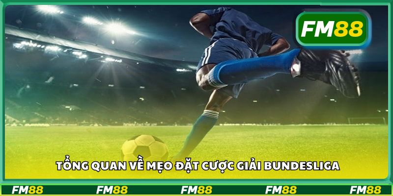 Tổng quan về mẹo đặt cược giải Bundesliga