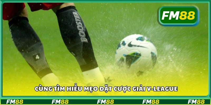Cùng tìm hiểu mẹo đặt cược giải V-League