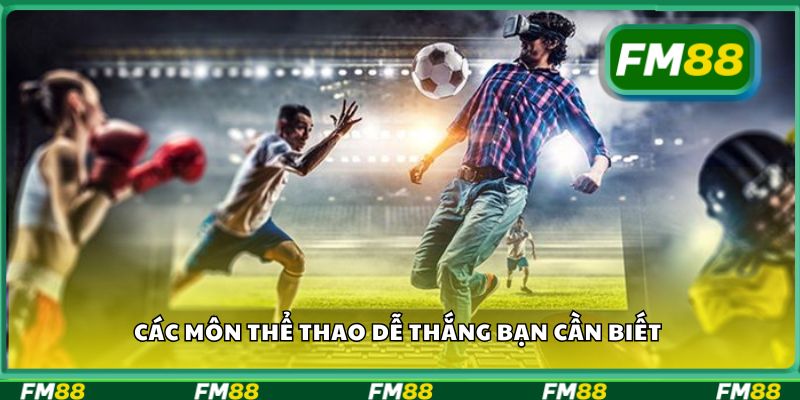 Phân tích dữ liệu trước khi cược