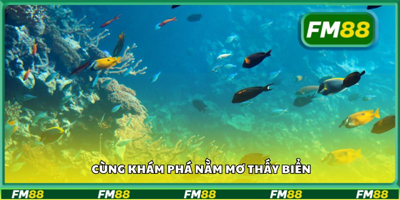 Cùng khám phá nằm mơ thấy biển