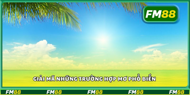Giải mã những trường hợp mơ phổ biến
