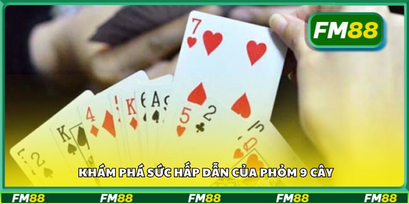 Khám phá sức hấp dẫn của phỏm 9 cây
