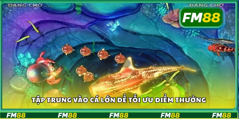Tập trung vào cá lớn để tối ưu điểm thưởng