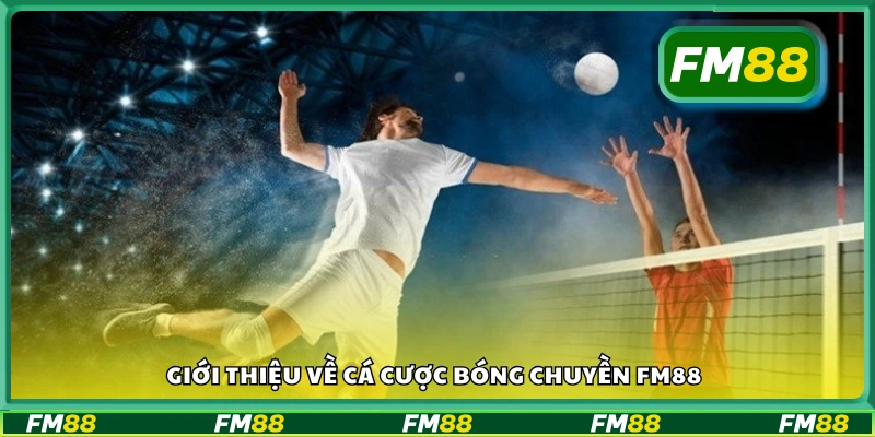 Tổng quan về cá cược bóng chuyền FM88