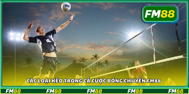 Các loại kèo trong cá cược bóng chuyền FM88