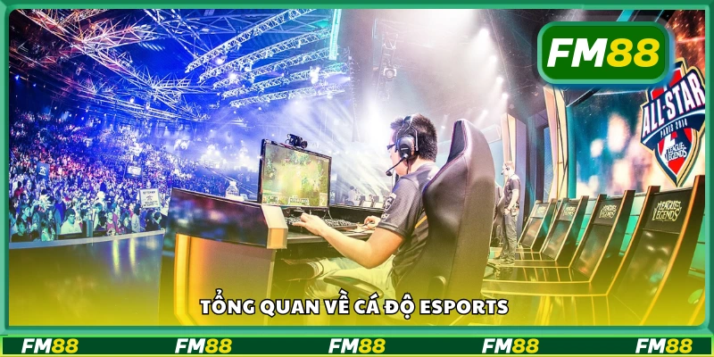Giới thiệu chung về hình thức cá cược eSports