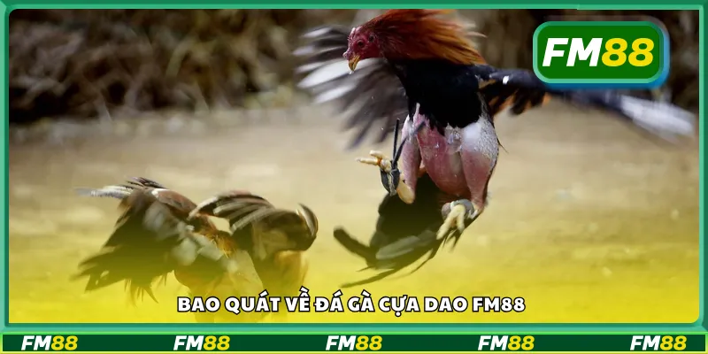 Giới thiệu chung về hình thức đá gà cựa dao tại FM 88
