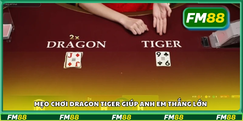 Mẹo chơi Dragon Tiger dễ thắng cho người mới