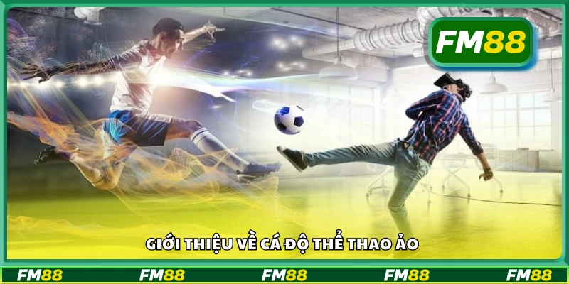 Giới thiệu về cá độ thể thao ảo